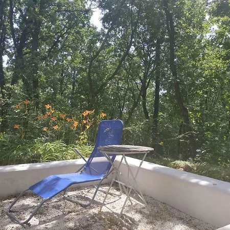 Hovirag * Balatonalmádi